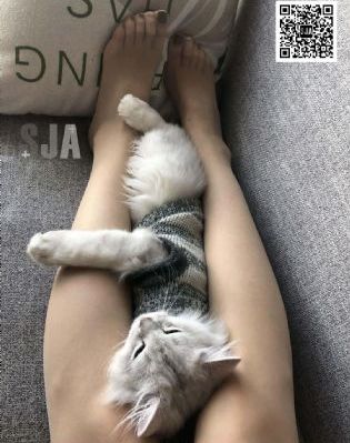 隔壁的男人_高清电影完整版