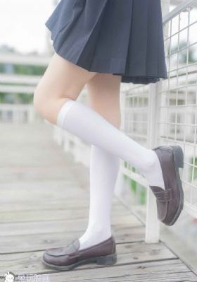 树先生免费观看全集_BD电视剧在线观看